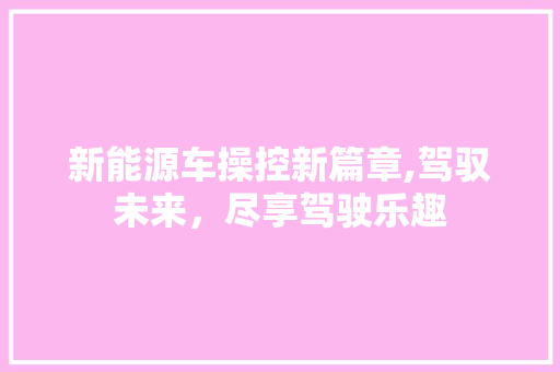 新能源车操控新篇章,驾驭未来，尽享驾驶乐趣