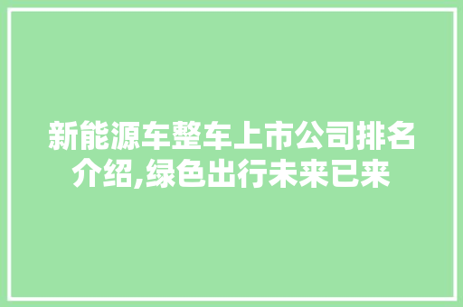 新能源车整车上市公司排名介绍,绿色出行未来已来