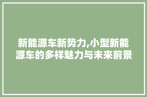 新能源车新势力,小型新能源车的多样魅力与未来前景