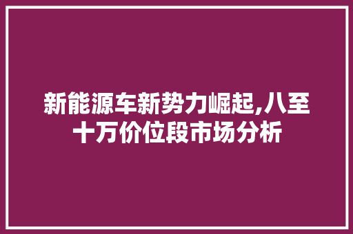 新能源车新势力崛起,八至十万价位段市场分析