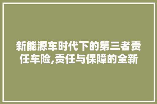 新能源车时代下的第三者责任车险,责任与保障的全新篇章