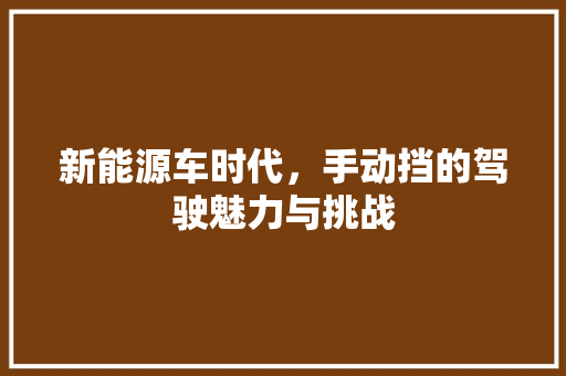 新能源车时代，手动挡的驾驶魅力与挑战