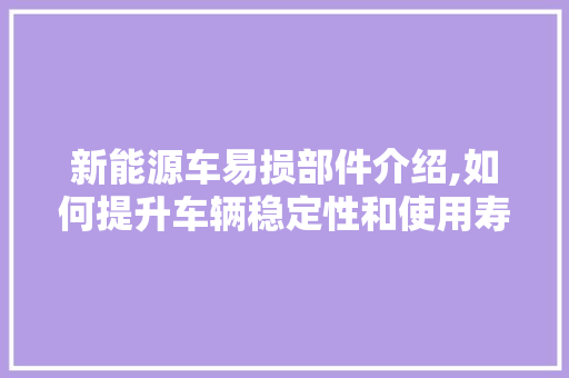 新能源车易损部件介绍,如何提升车辆稳定性和使用寿命