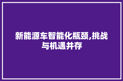 新能源车智能化瓶颈,挑战与机遇并存