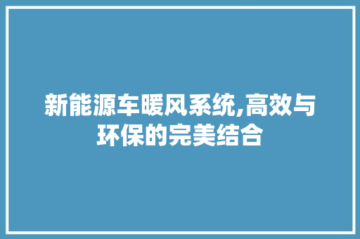 新能源车暖风系统,高效与环保的完美结合