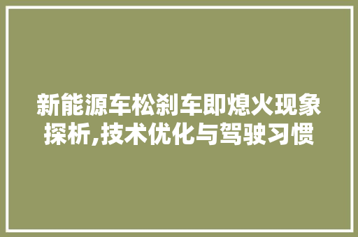 新能源车松刹车即熄火现象探析,技术优化与驾驶习惯的双重挑战