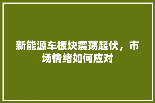 新能源车板块震荡起伏，市场情绪如何应对