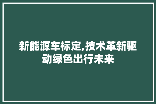 新能源车标定,技术革新驱动绿色出行未来