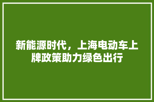 新能源时代，上海电动车上牌政策助力绿色出行