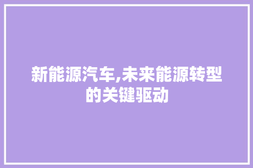新能源汽车,未来能源转型的关键驱动