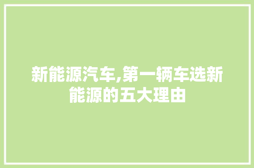 新能源汽车,第一辆车选新能源的五大理由
