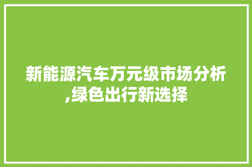 新能源汽车万元级市场分析,绿色出行新选择
