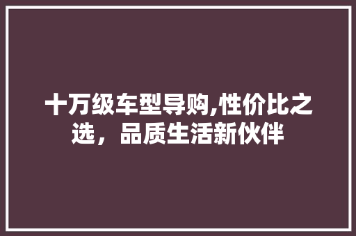 十万级车型导购,性价比之选，品质生活新伙伴
