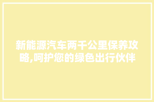 新能源汽车两千公里保养攻略,呵护您的绿色出行伙伴