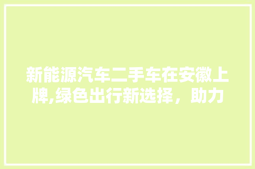 新能源汽车二手车在安徽上牌,绿色出行新选择，助力环保产业腾飞