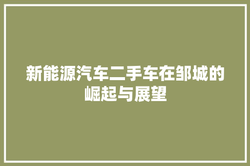 新能源汽车二手车在邹城的崛起与展望