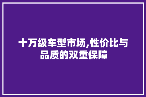 十万级车型市场,性价比与品质的双重保障