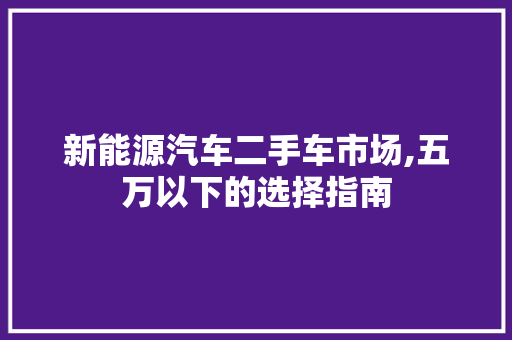新能源汽车二手车市场,五万以下的选择指南