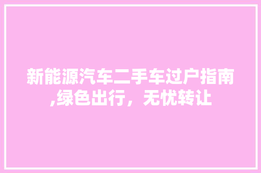 新能源汽车二手车过户指南,绿色出行，无忧转让