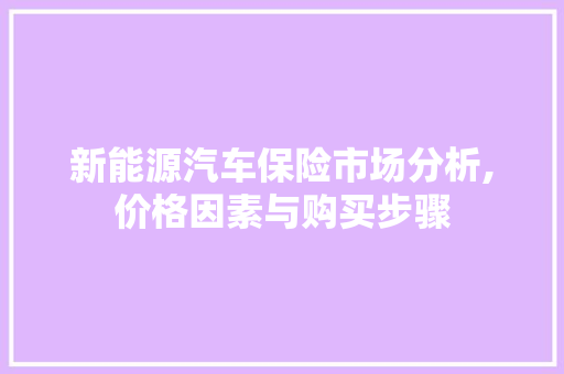 新能源汽车保险市场分析,价格因素与购买步骤