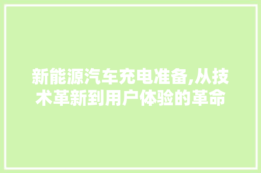 新能源汽车充电准备,从技术革新到用户体验的革命