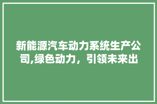 新能源汽车动力系统生产公司,绿色动力，引领未来出行新潮流