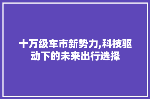 十万级车市新势力,科技驱动下的未来出行选择