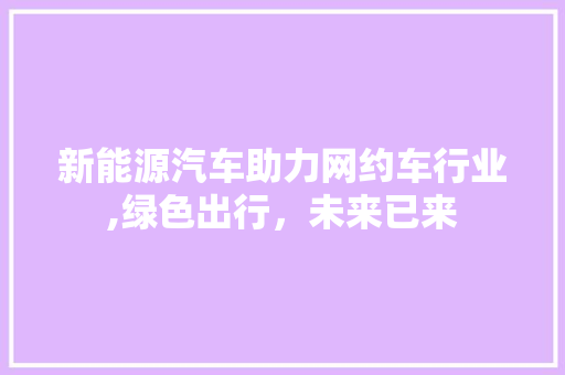 新能源汽车助力网约车行业,绿色出行，未来已来
