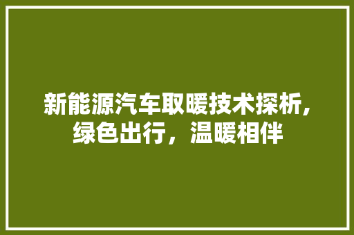 新能源汽车取暖技术探析,绿色出行，温暖相伴