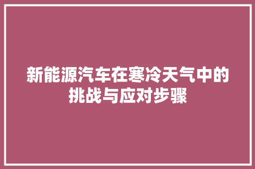 新能源汽车在寒冷天气中的挑战与应对步骤