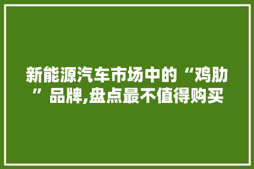 新能源汽车市场中的“鸡肋”品牌,盘点最不值得购买的新能源车型