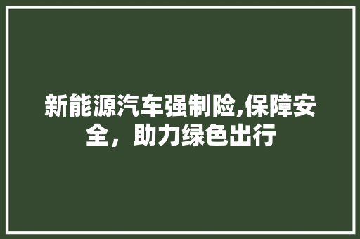 新能源汽车强制险,保障安全，助力绿色出行