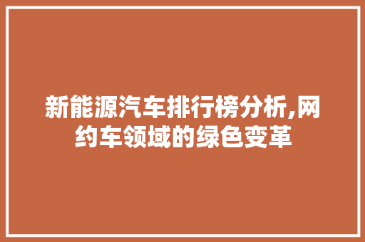 新能源汽车排行榜分析,网约车领域的绿色变革
