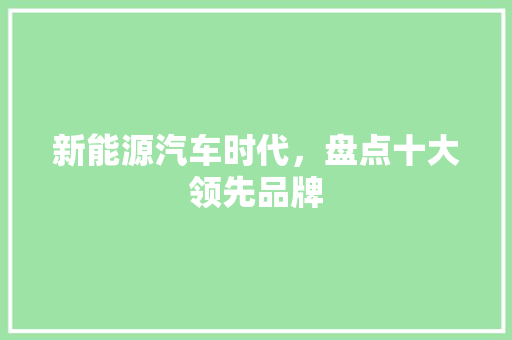 新能源汽车时代，盘点十大领先品牌