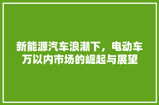 新能源汽车浪潮下，电动车万以内市场的崛起与展望