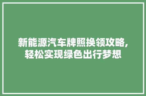 新能源汽车牌照换领攻略,轻松实现绿色出行梦想