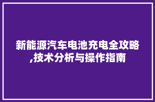 新能源汽车电池充电全攻略,技术分析与操作指南