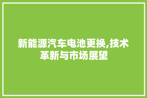 新能源汽车电池更换,技术革新与市场展望
