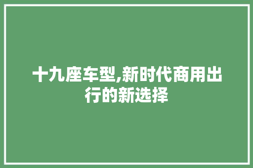 十九座车型,新时代商用出行的新选择