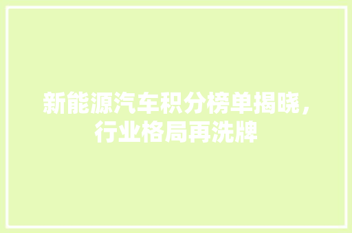 新能源汽车积分榜单揭晓，行业格局再洗牌