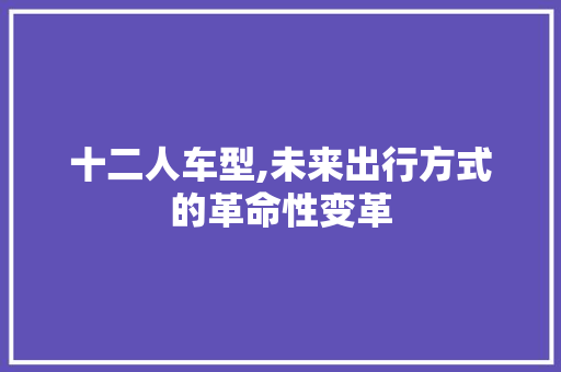 十二人车型,未来出行方式的革命性变革