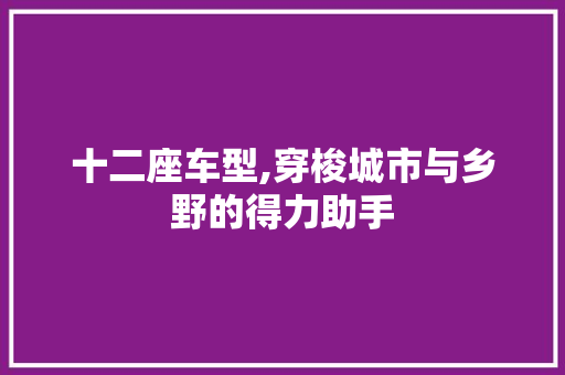 十二座车型,穿梭城市与乡野的得力助手