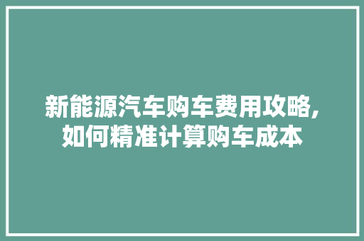 新能源汽车购车费用攻略,如何精准计算购车成本