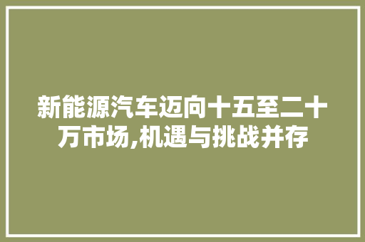 新能源汽车迈向十五至二十万市场,机遇与挑战并存