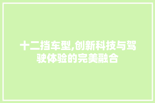 十二挡车型,创新科技与驾驶体验的完美融合
