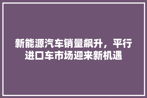 新能源汽车销量飙升，平行进口车市场迎来新机遇