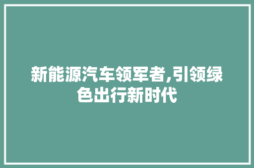 新能源汽车领军者,引领绿色出行新时代