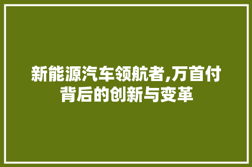 新能源汽车领航者,万首付背后的创新与变革
