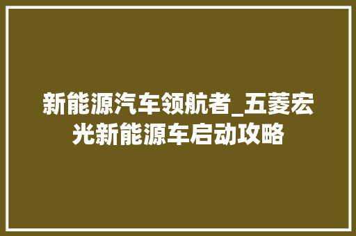 新能源汽车领航者_五菱宏光新能源车启动攻略