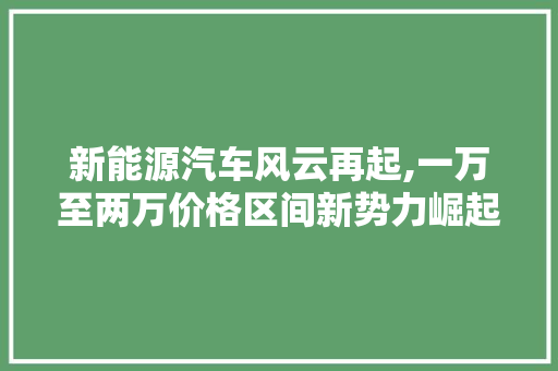 新能源汽车风云再起,一万至两万价格区间新势力崛起